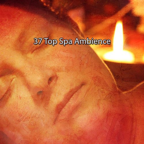 37 Top Spa Ambience