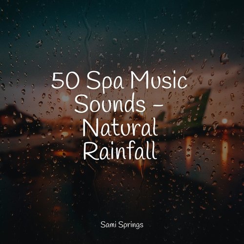 Rain, Storm and Thunder cover art