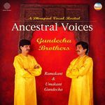 Raga Charukeshi (Dhrupad) artwork