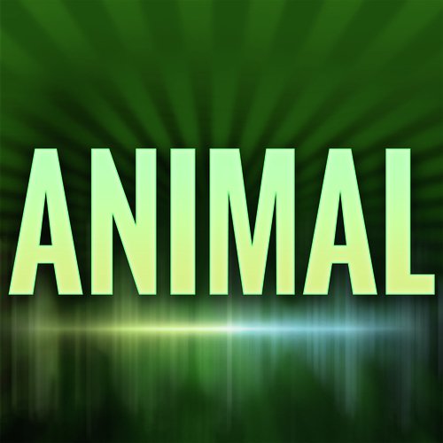 Animal
