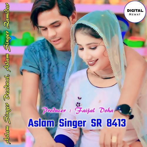 Aslam Singer SR 8413