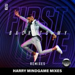 Back To My First Love (Harry Mindgame Main Mix)