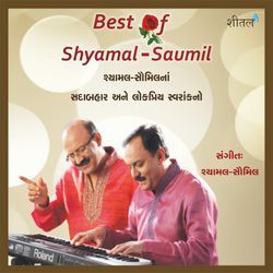 Best Of Shyamal Saumil