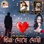 Bina Doshe Doshi