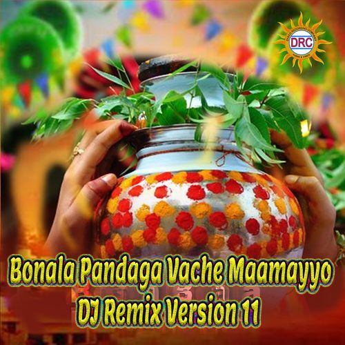 Bonala Pandaga Vache Maamayyo (DJ Remix Version 11)