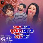 Bujlam Na Bujlam Na Pakhi Tumar Oi Monta