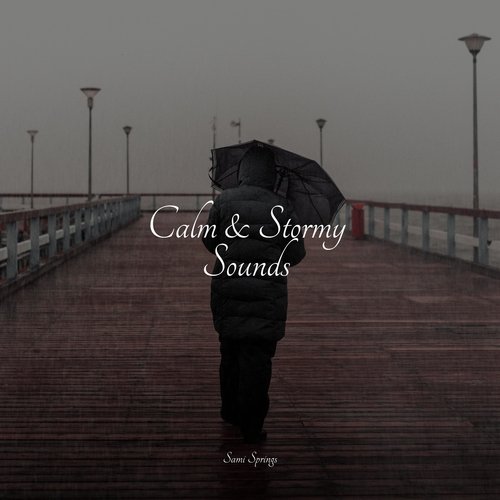 Calm &amp; Stormy Sounds_poster_image