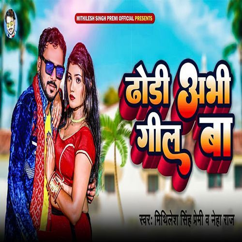 Dhodi Abhi Geel Ba