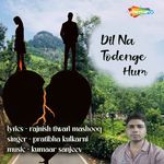 Dil Na Todenge Hum