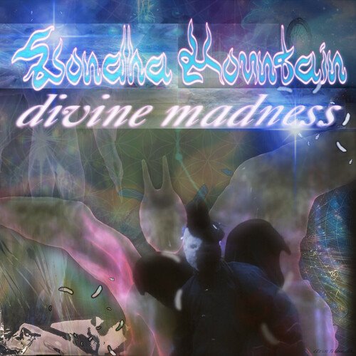 Divine Madness_poster_image