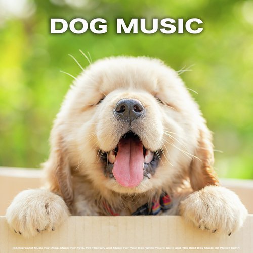 Dog Music cover art