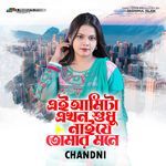 Ei Amita Ekhon Sudhu Naije Tomar Mone