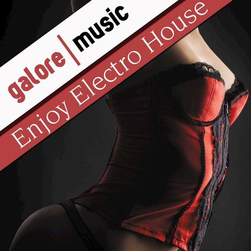 Enjoy Electro House