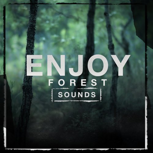 Enjoy Forest Sounds