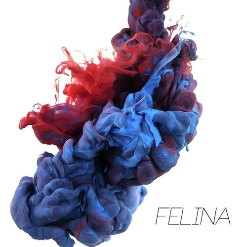 Felina_poster_image