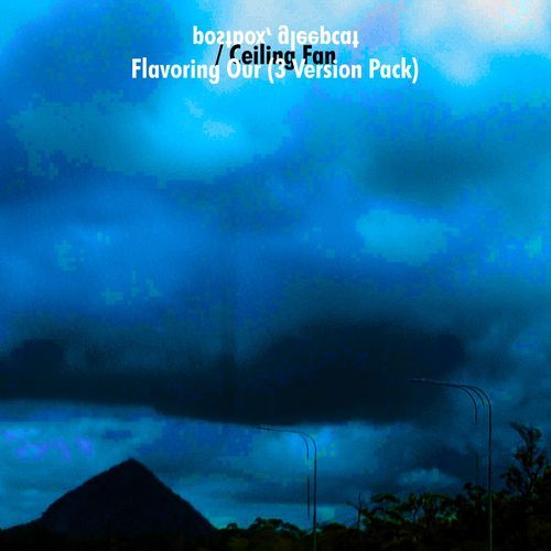 Flavoring Our (feat. grza3)