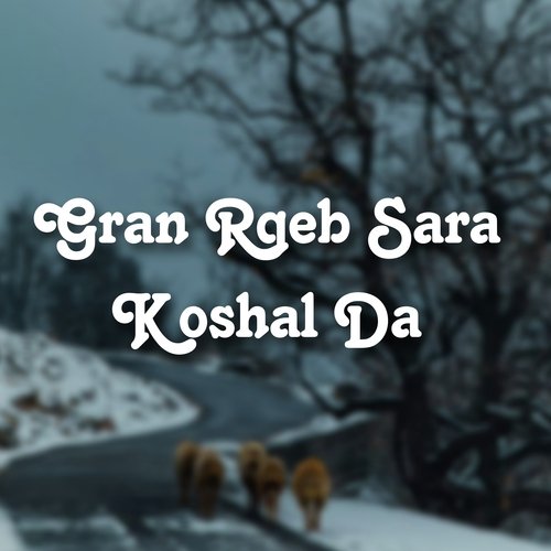 Gran Rqeb Sara Koshal Da