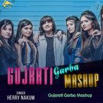Gujarati Garba Mashup