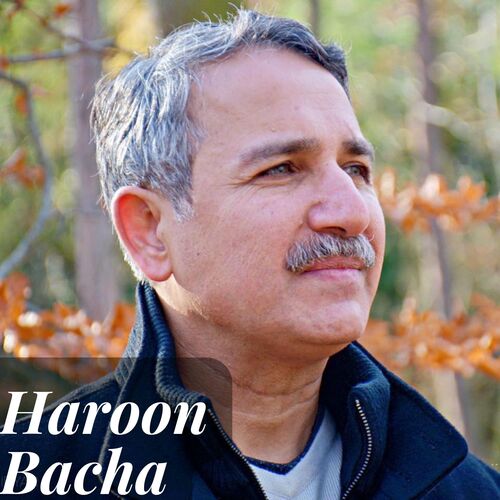 Haroon Bacha Ta che janan janan kedale