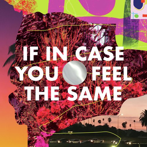 If In Case You Feel The Same_poster_image