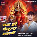 Jay Ho Netula Bhawani