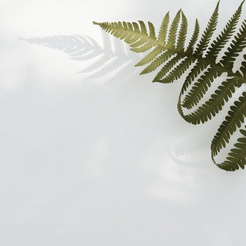 Mindful Living Sounds | Relaxation and Mindfulness, Serenity