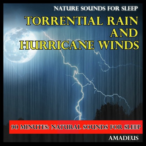 Nature Sounds for Sleep: Torrential Rain and Hurricane Winds: Bonus Edition_poster_image