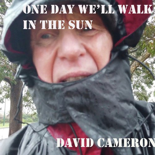 One Day We&#039;ll Walk in the Sun_poster_image