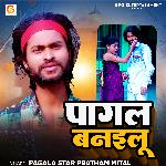 Pagal Banailu