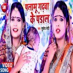 Palamu Gadhwa Ke Pandal