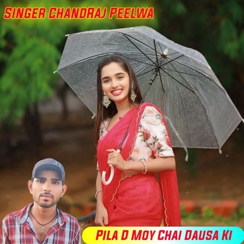 Pila D Moy Chai Dausa Ki