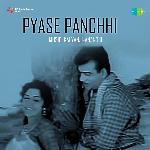 Pyase Panchhi