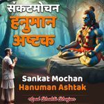 Sankat Mochan Hanuman Ashtak