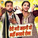 Teri Bhari Jawani Yo Kahi Karwade Rola