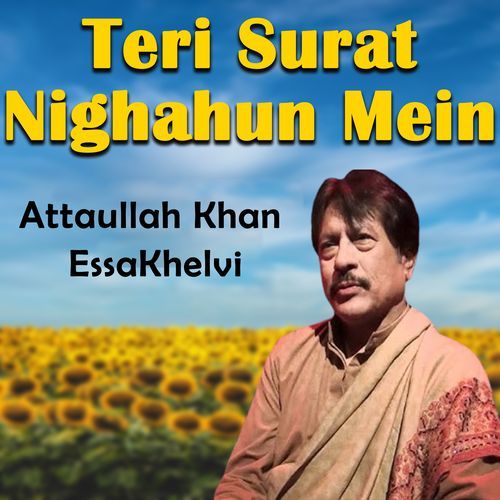 Teri Surat Nighahun Mein