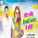 Tora Chod Delko Bhatar Ge Chodi