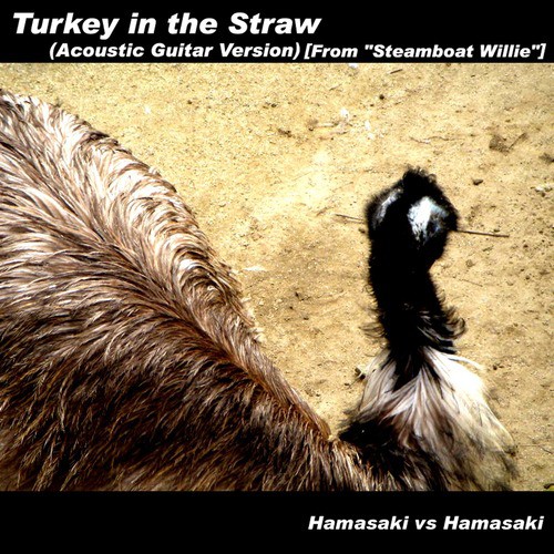 Turkey in the Straw (Acoustic Guitar Version) [From "Steamboat Willie"]