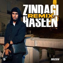 Zindagi Haseen (Remix)-IwkcdAZJaFE