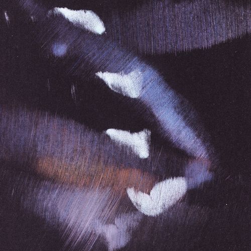 Devendra cover art