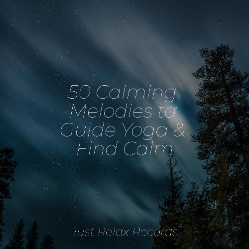 50 Calming Melodies to Guide Yoga & Find Calm