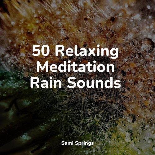 50 Relaxing Meditation Rain Sounds_poster_image