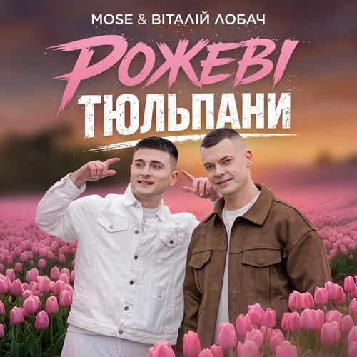 Рожеві тюльпани