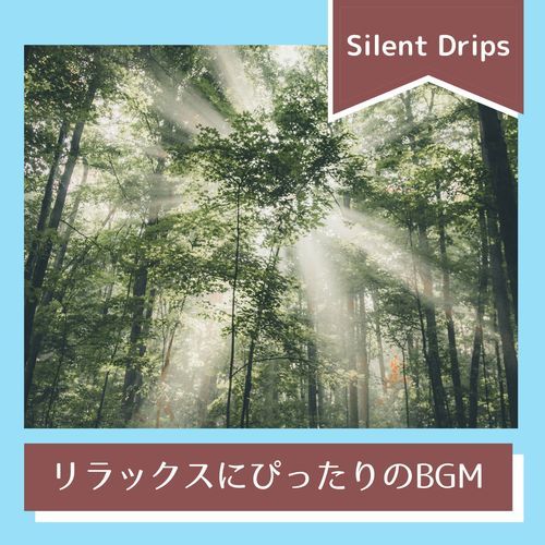 Silent Reflections on the Water cover art