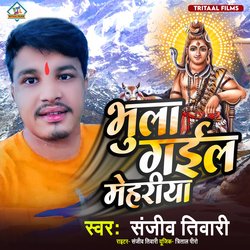 Bhul Gail Mehariya
