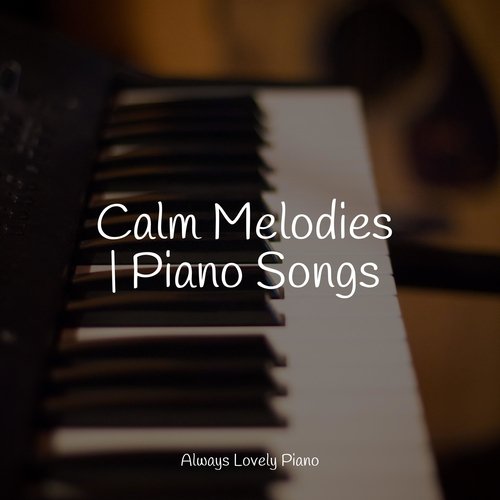 Calm Melodies | Piano Songs