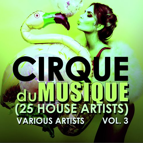 Trumpet Groove (A.C.N. Remix)