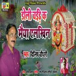 Doli Chadi Maiya Elkhin