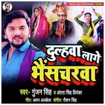 Dulahwa Lage Bhaishcharwa