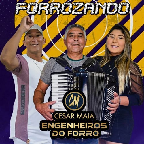 Ritmo da Sanfoninha