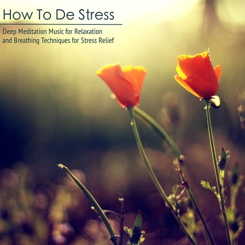 How To De Stress - Deep Meditation Music for Relaxation and Breathing Techniques for Stress Relief